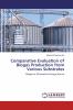 Comparative Evaluation of Biogas Production from Various Substrates