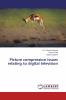 Picture compression issues relating to digital television