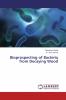 Bioprospecting of Bacteria from Decaying Wood