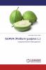 GUAVA (Psidium guajava L.)