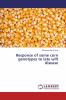 Response of some corn genotypes to late wilt disease