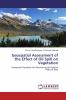 Geospatial Assessment of the Effect of Oil Spill on Vegetation