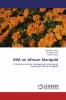 INM on African Marigold