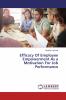 Efficacy Of Employee Empowerment As a Motivation For Job Performance
