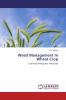 Weed Management In Wheat Crop