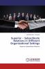 Superior - Subordinate Relations in Different Organizational Settings