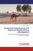 Integrated Geophysical and Electrical Depth Slicing Investigation