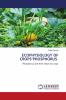 ECOPHYSIOLOGY OF CROPS'PHOSPHORUS