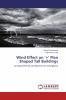 Wind Effect on '+' Plan Shaped Tall Buildings