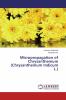 Micropropagation of Chrysanthemum (Chrysanthemum Indicum L.)