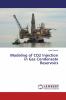 Modeling of CO2 Injection in Gas Condensate Reservoirs