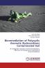 Bioremediation of Polycyclic Aromatic Hydrocarbons Contaminated Soil