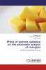 Effect of gamma radiation on the proximate analysis of mangoes