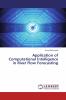 Application of Computational Intelligence in River Flow Forecasting