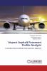 Airport Asphalt Pavement Profile Analysis