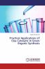 Practical Applications of Clay Catalysts in Green Organic Synthesis