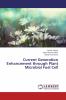 Current Generation Enhancement through Plant Microbial Fuel Cell