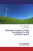 Molecular Analysis of Rice Genotypes for BLB resistance genes