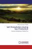 Salt Precipitation during Gas Production