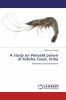 A study on Penaeid prawn of Odisha Coast India