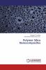 Polymer Silica Nanocomposites