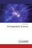 The Hyperbolic Universe