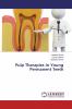 Pulp Therapies In Young Permanent Teeth