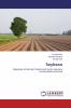 Soybean