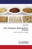 Rice Analogue Optimization Process