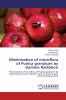 Minimization of microflora of Punica granatum by Gamma Radiation