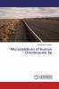 Microdeletions of Human Chromosome 8p