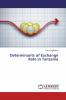 Determinants of Exchange Rate in Tanzania