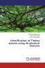 Identification of Timber species using Anatomical features