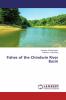 Fishes of the Chindwin River Basin