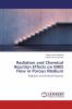 Radiation and Chemical Reaction Effects on MHD Flow in Porous Medium