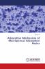 Adsorption Mechanism of Macroporous Adsorption Resins