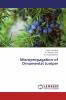 Micropropagation of Ornamental Juniper