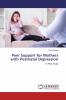 Peer Support for Mothers with Postnatal Depression