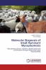 Molecular Diagnosis of Small Ruminant Mycoplasmosis
