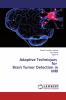 Adaptive Techniques for Brain Tumor Detection in MRI