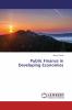 Public Finance in Developing Economies