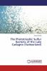 The Phototrophic Sulfur Bacteria of the Lake Cadagno (Switzerland)
