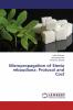 Micropropagation of Stevia rebaudiana