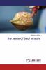 The Sense Of Soul In Islam