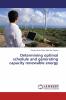 Determining optimal schedule and generating capacity renewable energy