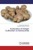 Economics of Ginger Cultivation in KeralaIndia