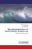 Microphytoplankton of North Eastern Arabian sea