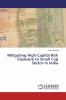 Mitigating High Capital Risk Exposure to Small Cap Sector in India