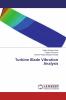 Turbine Blade Vibration Analysis