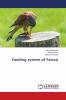 Feeding system of Falcon